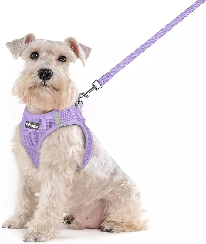 rabbitgoo Dog Harness Medium Sized and Leash Set, Step in Soft Light Puppy Vest, Breathable Mesh Pet Harness, Reflective for Safe Easy Walking, Blue & Light Pink XXL