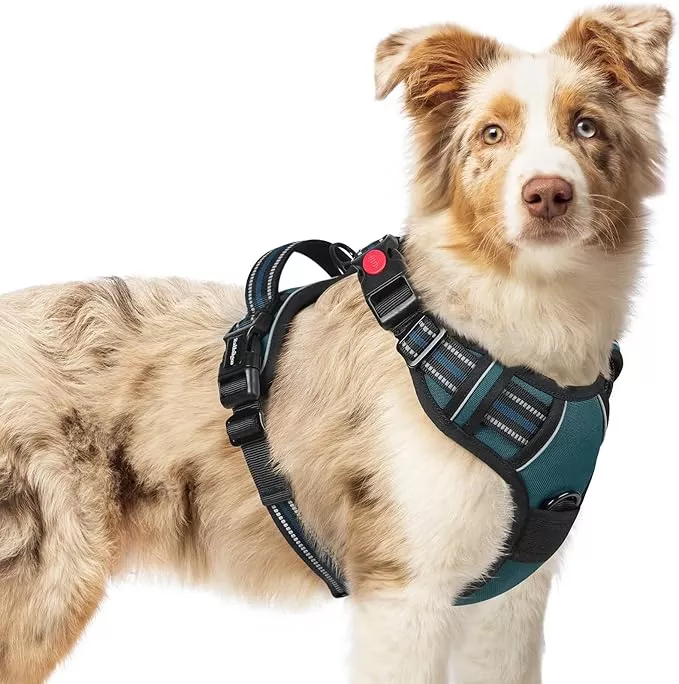 rabbitgoo Dog Harness Medium Sized, No Pull Pet Harness with 3 Buckles, Adjustable Soft Padded Vest with Control Handle, Walking Reflective Pet Vest for Medium Dogs, Purple, M