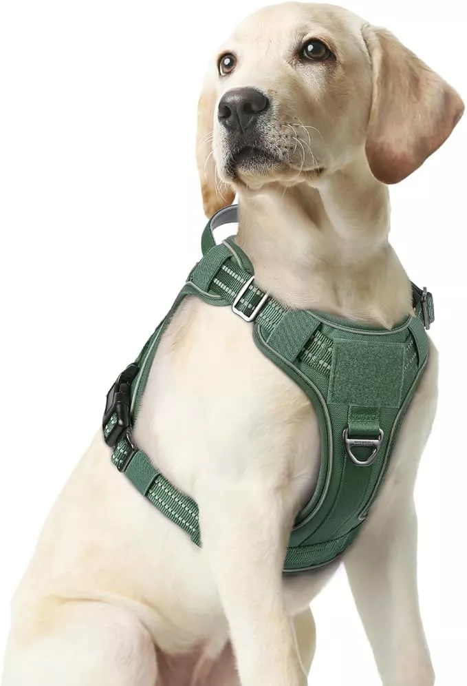 rabbitgoo Dog Harness Medium Sized No Pull, Tactical Service Pet Vest with Molle and Control Handle, Adjustable and Reflective Military Harness for Easy Walking and Training, Grey, M