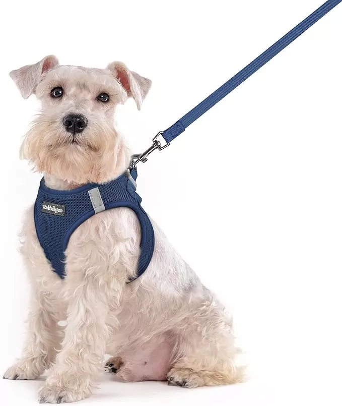 rabbitgoo Dog Harness Small Sized and Leash Set, Step in Soft Light Puppy Vest, Breathable Mesh Pet Harness, Reflective for Safe Outdoor Walking, Navy Blue S