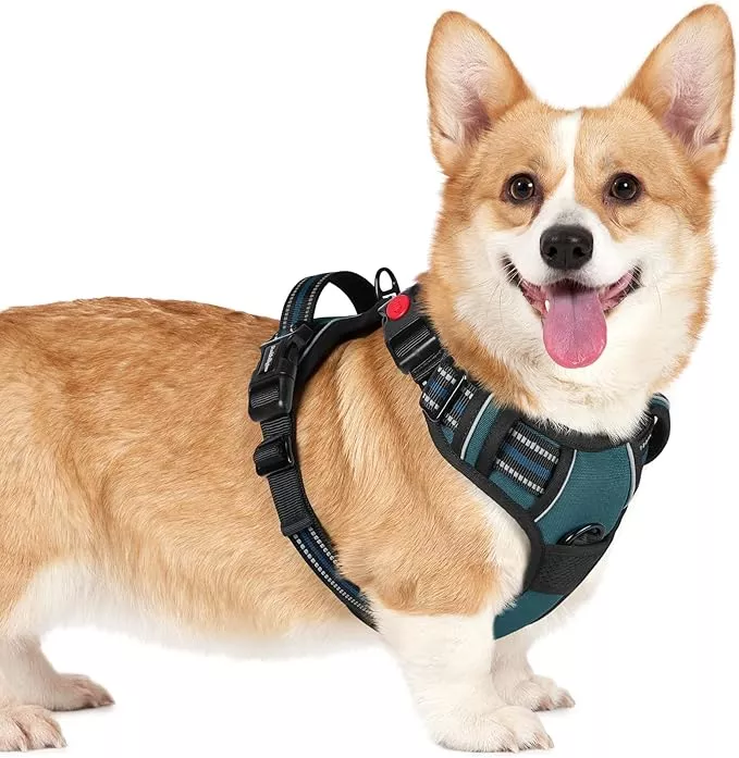 rabbitgoo Dog Harness Small Sized, No Pull Pet Harness with 3 Buckles, Adjustable Soft Padded Vest with Control Handle, Walking Reflective Pet Vest for Small Dogs, Red, S