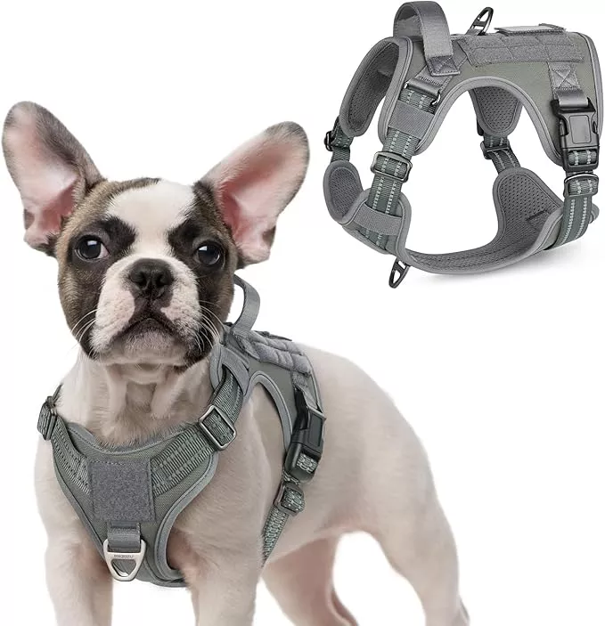 rabbitgoo Tactical Dog Harness for Small Dogs, No Pull Military Service Vest with Handle & Molle, Easy Control for Training Walking, Adjustable Reflective Straps, Red, S