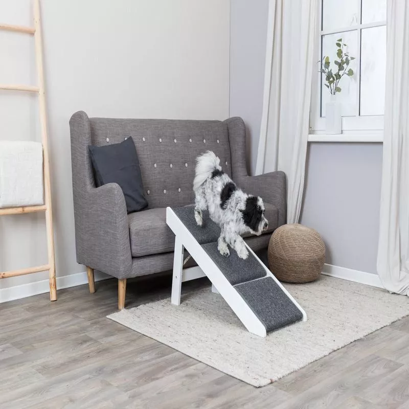 Ramp with folding steps