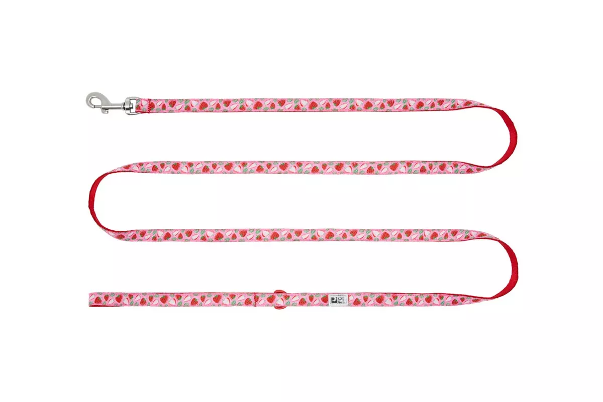 RC Pet Dog Leash - 3/4" x 6' - Strawberry