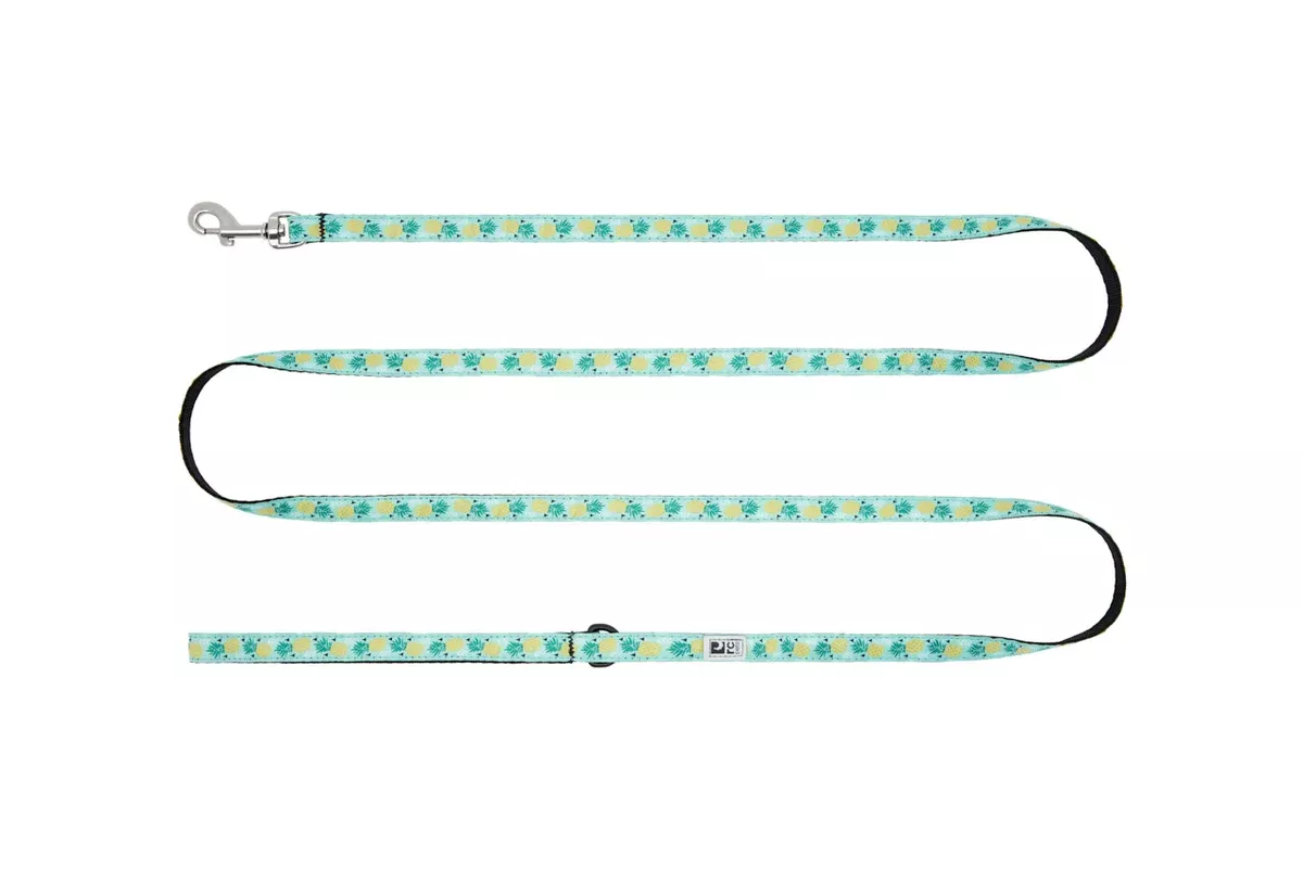 RC Pet Dog Leash 3/4″ x6′ – Pineapple Parade