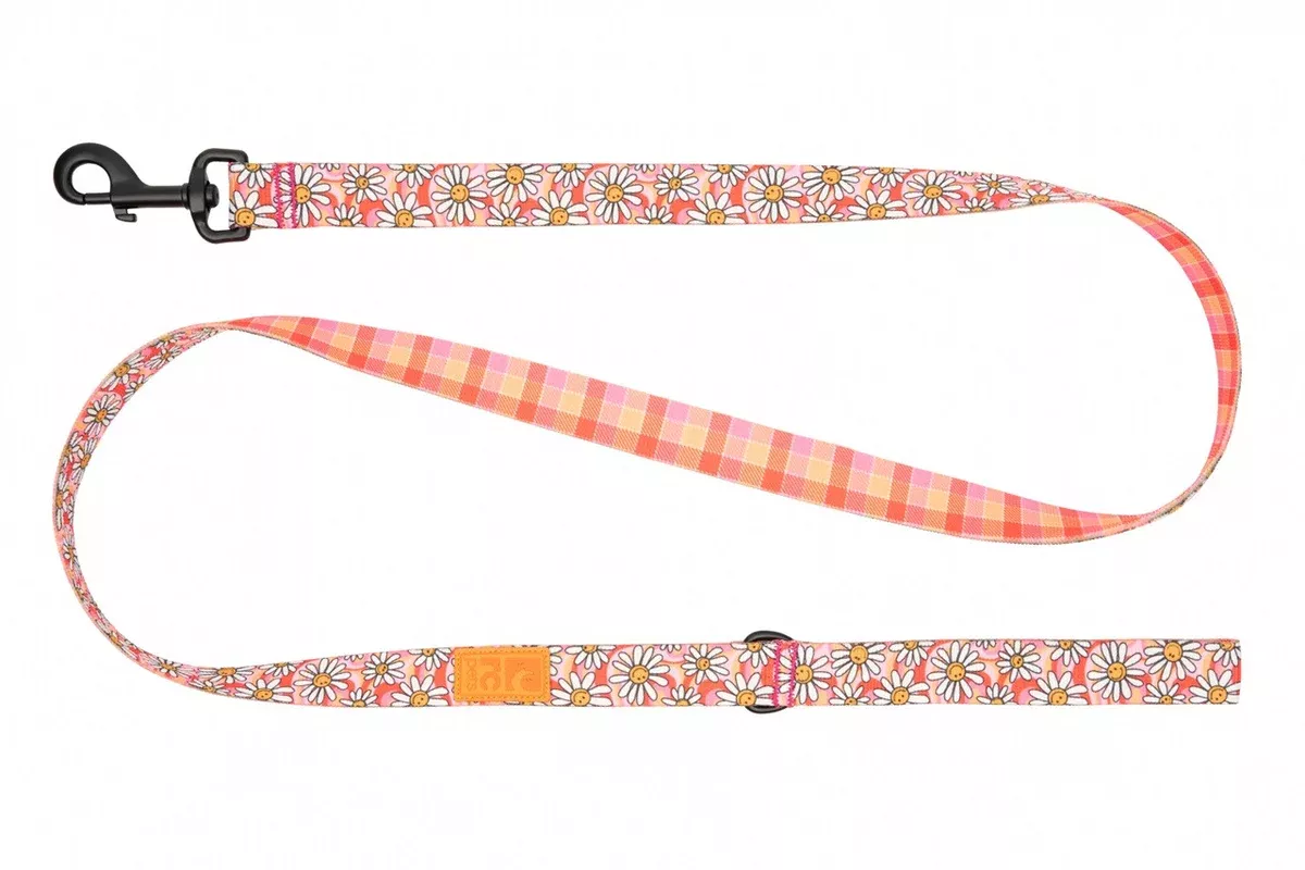 RC Pet Eco Dog Leash – 3/4″ x 5′ – Daisy Joy