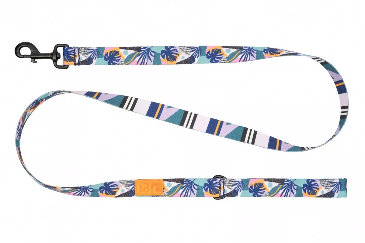 RC Pet Eco Dog Leash – 3/4″ x 5′ – Mystic Monstera
