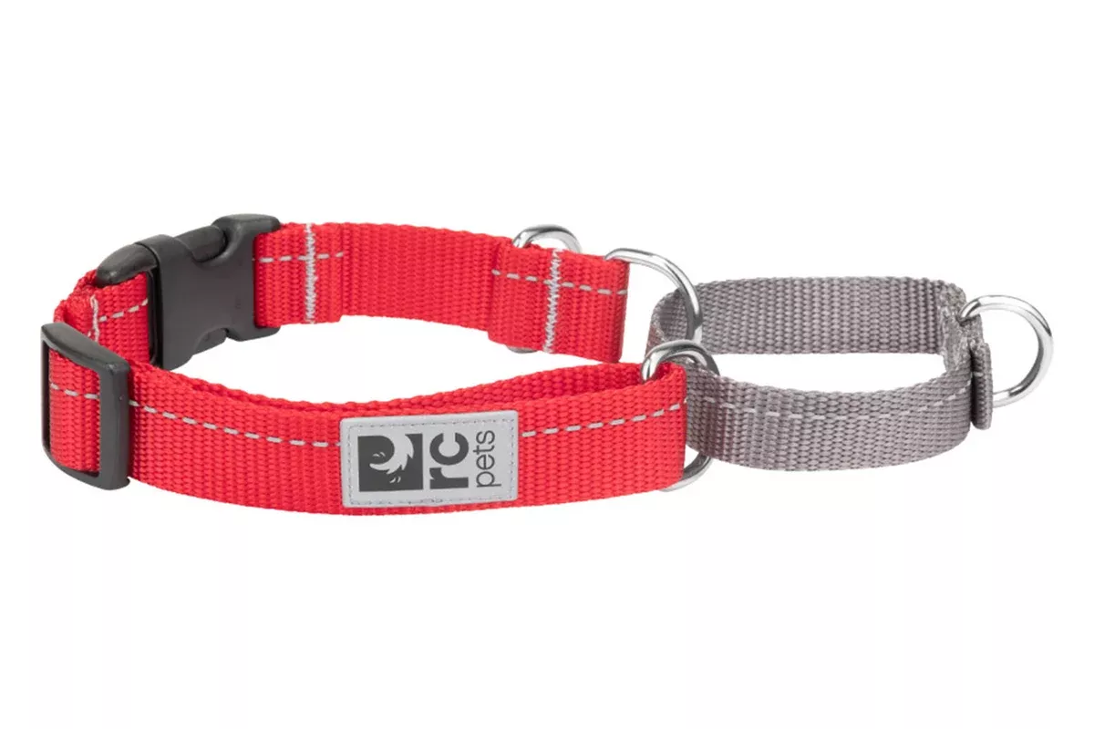 RC Pet Primary Web Training Clip Dog Collar – Medium – Red