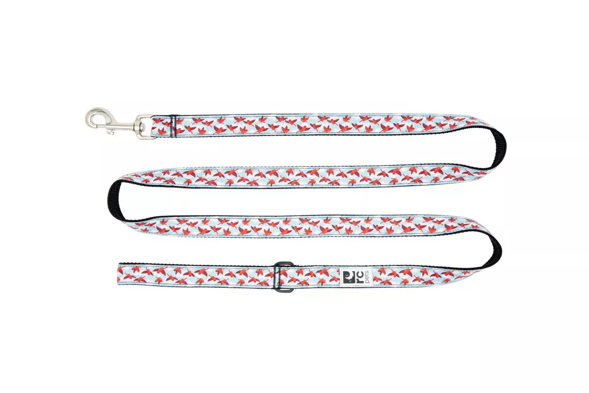 RC Pets Dog Leash – 1″ x 6′ – In The Clouds