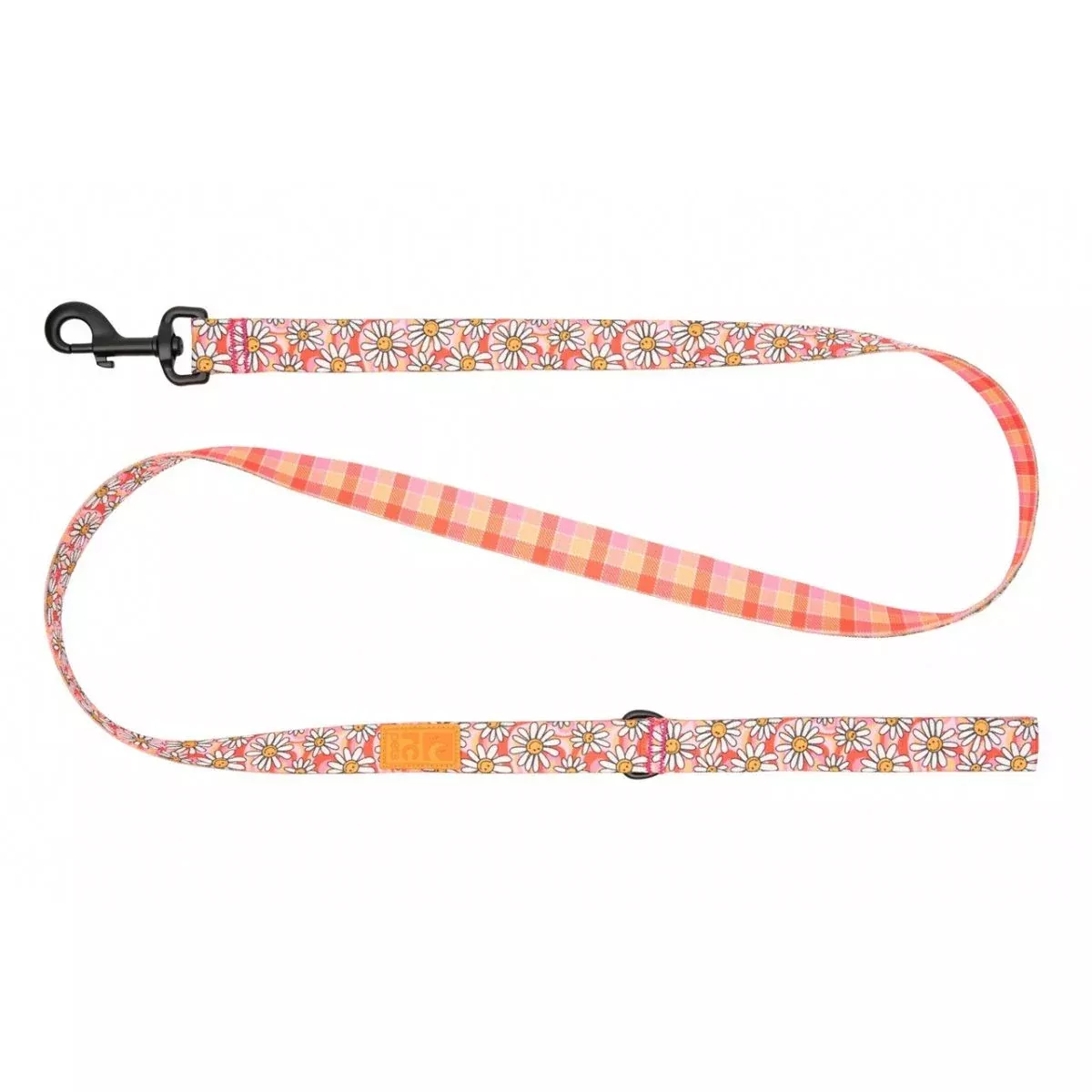 RC Pets Echo Dog Leash – 1″ x 5′ – Daisy Joy