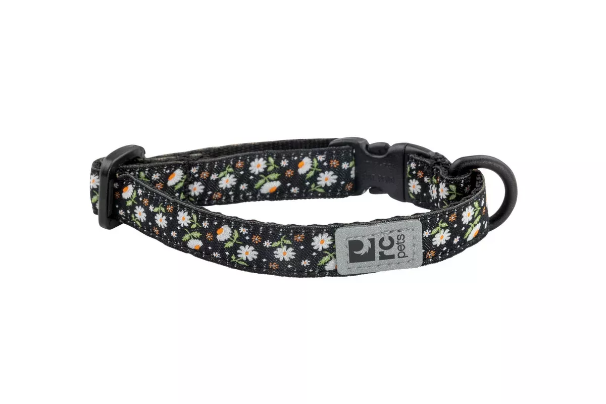 RC Pets Kitty Breakaway Cat Collar – One Size 8-10″ – Daisies