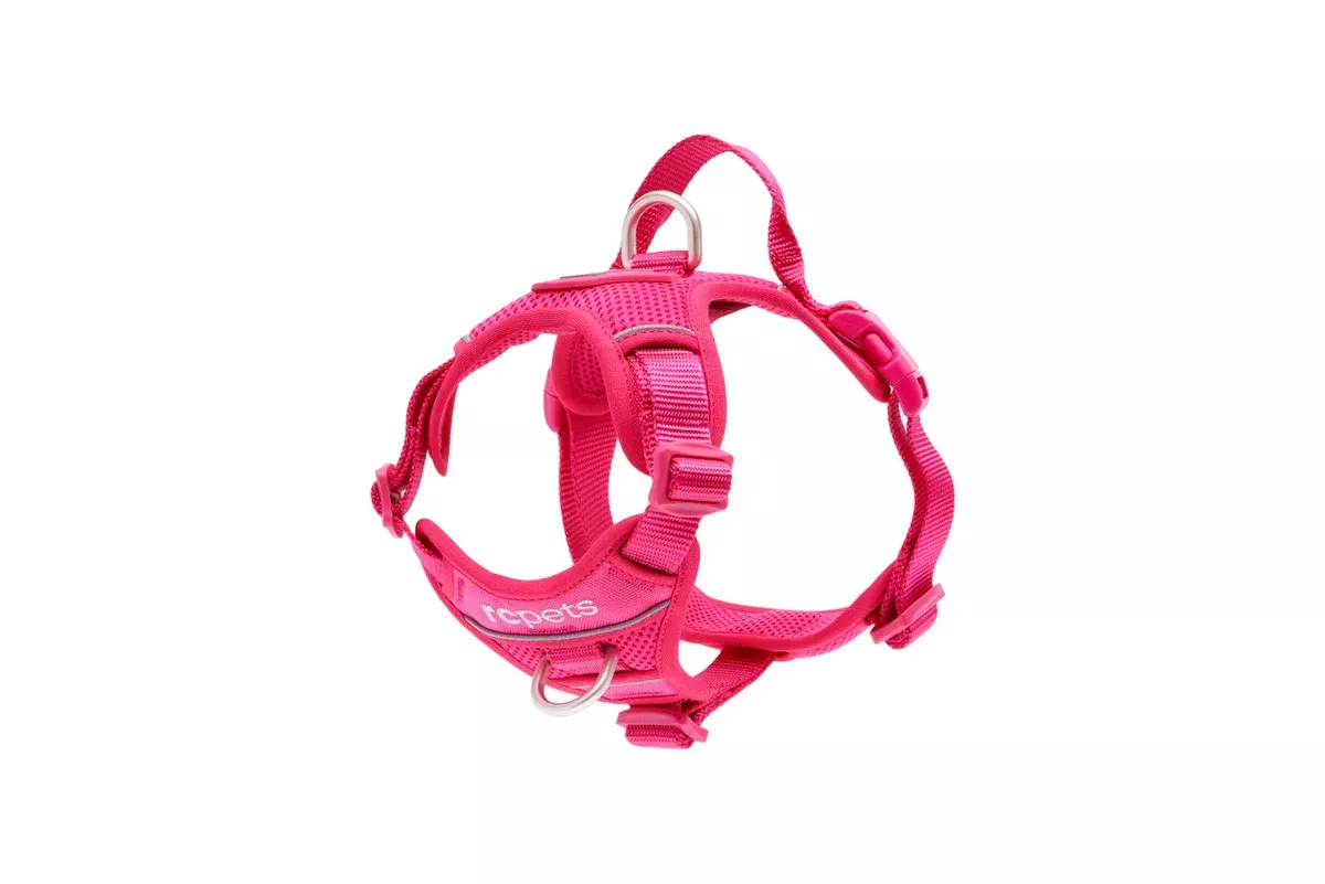 RC Pets Momentum Control Dog Harness - Small - Azalea