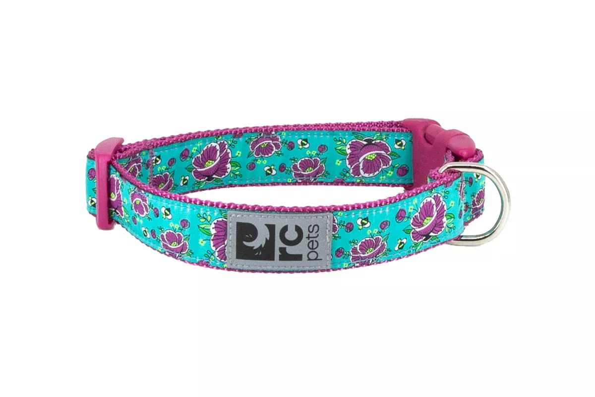 RC Pets Standard Dog Collar - L 1" - All The Buzz