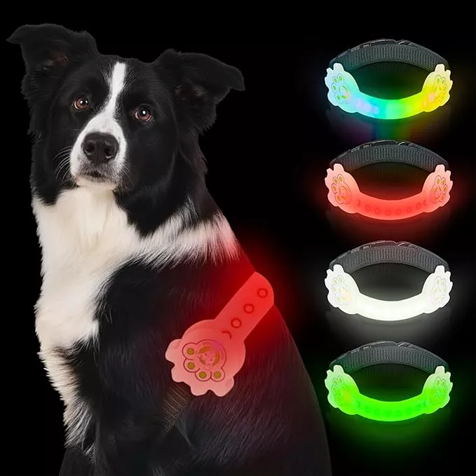Rechargeable LED Dog Collar, Adjustable Size Light Up Collar with 360° Halo Effect, Ultra-Bright RGB Light, Weather-Resistant Design, Flash Mode, & USB-C Charging for Small, Medium & Large Dogs