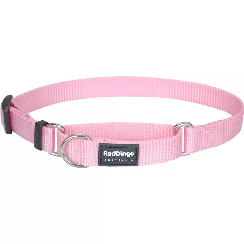 Red Dingo Classic Martingale Dog Collar 25mm