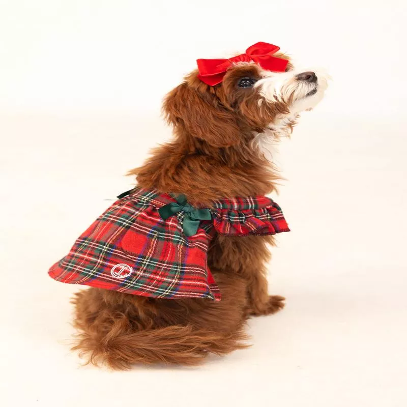 Red Plaid Dog Dress