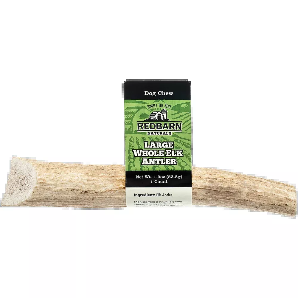 Redbarn Large Whole Elk Antler