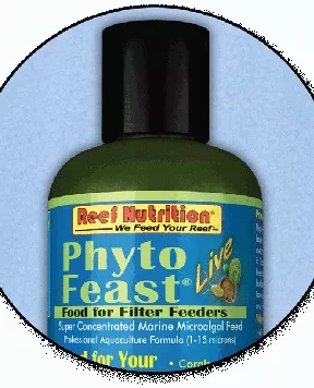 Reef Nutrition – Phyto Feast Live