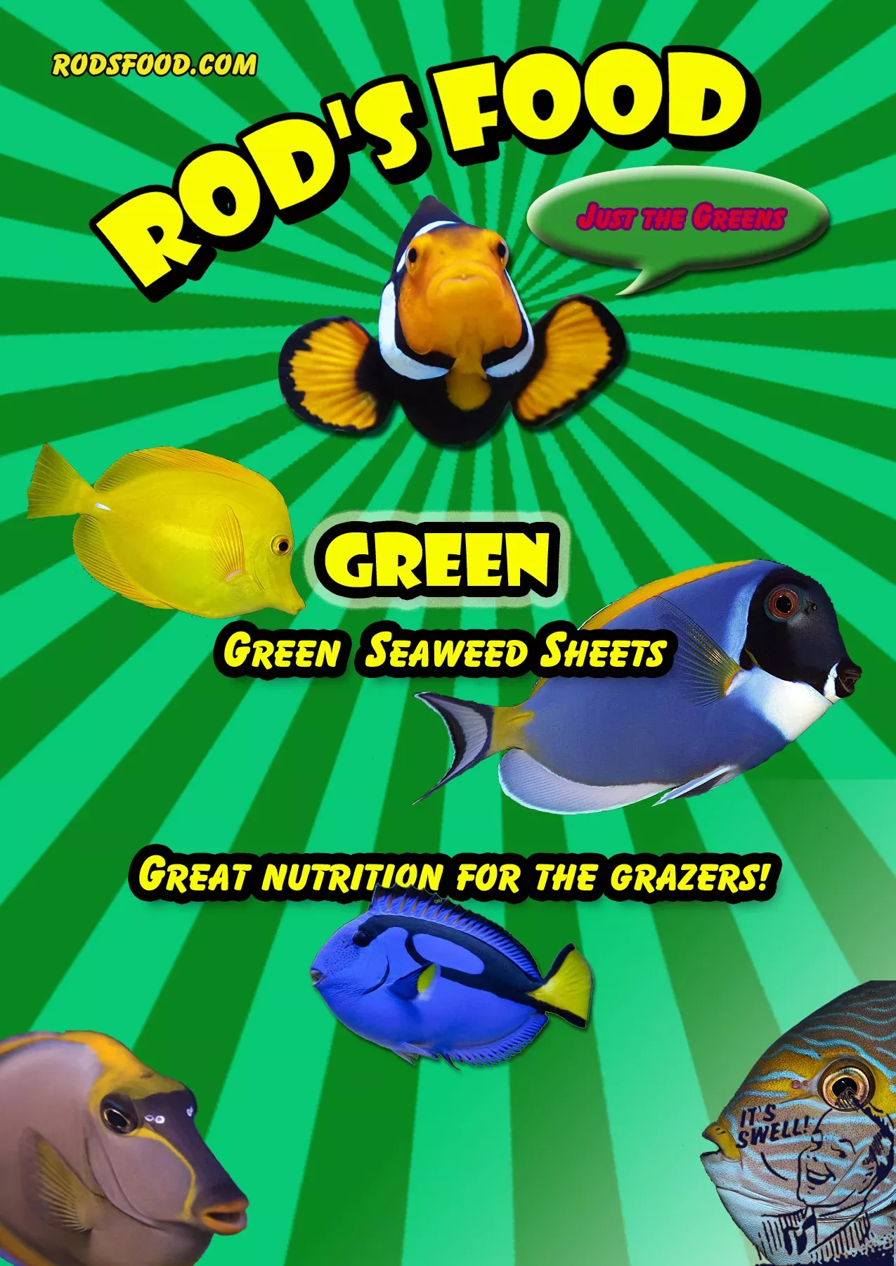 Rod’s Food Seaweed 30gram – Green