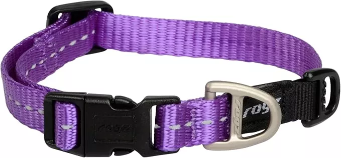 Rogz Utility Small 3/8-Inch Reflective Nitelife Dog Collar, Purple