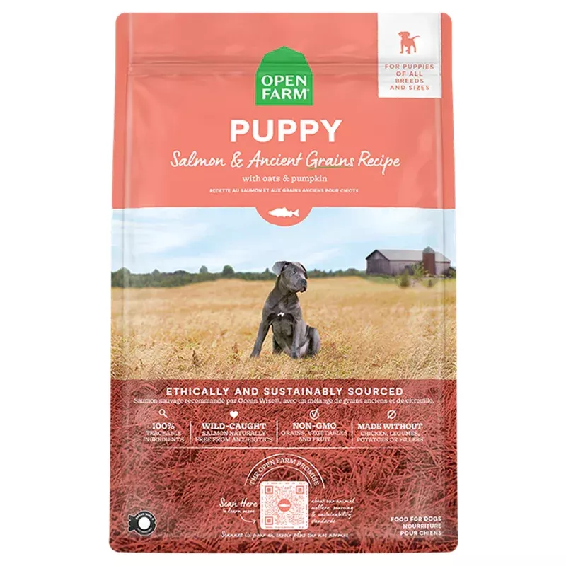 Salmon & Ancient Grains Puppy Kibble