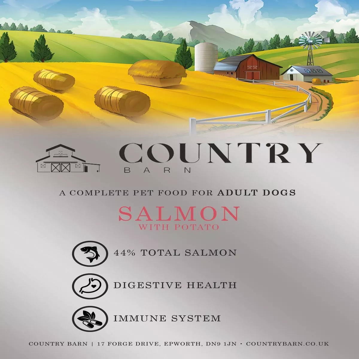 Salmon & Potato – Premium