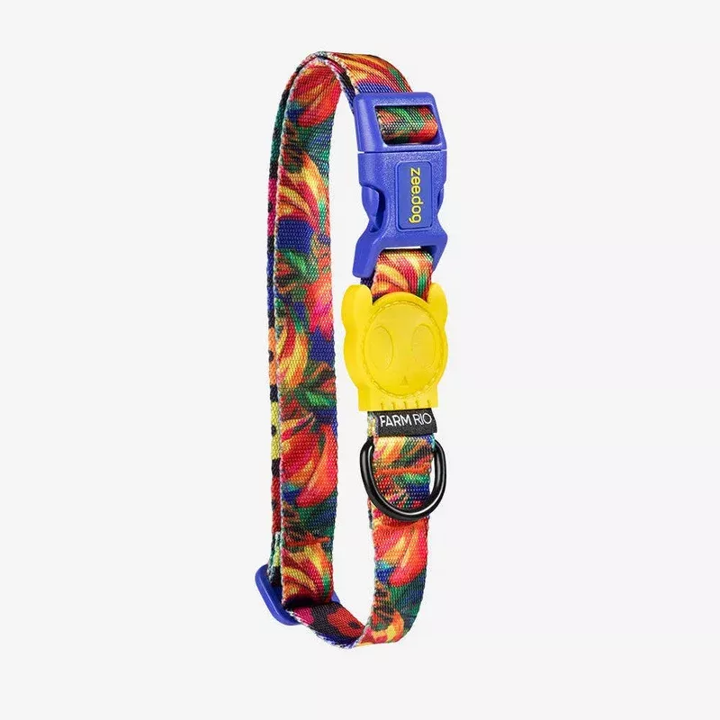 Samba | Collar: Medium