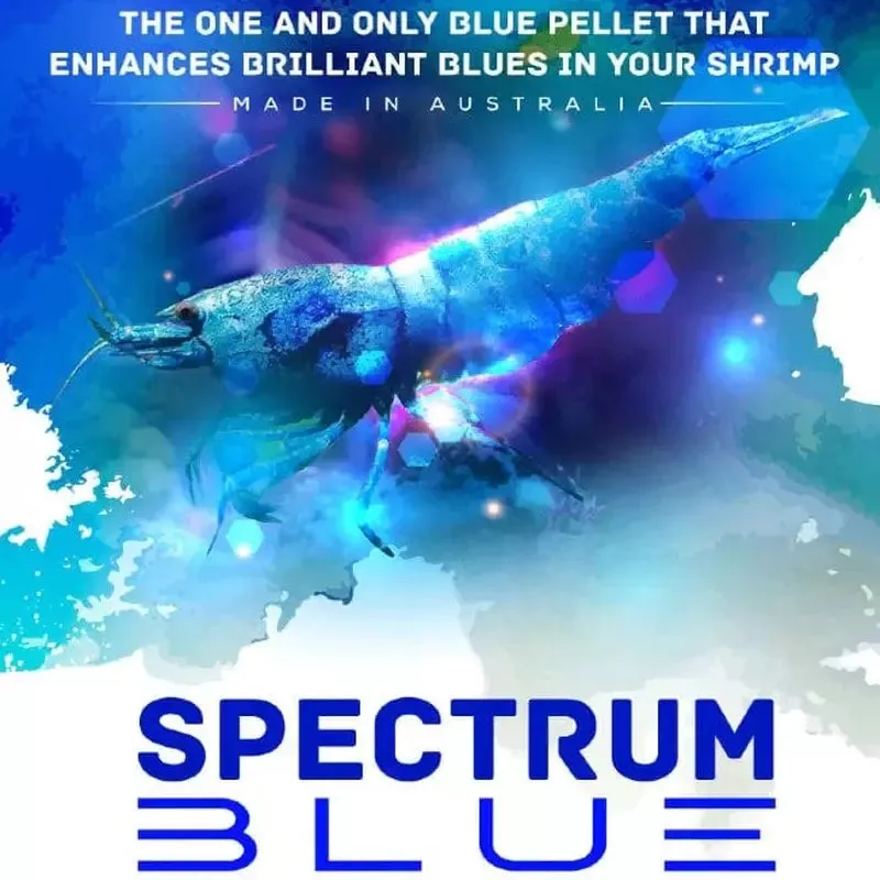 SAS Spectrum Blue Pellets 30g