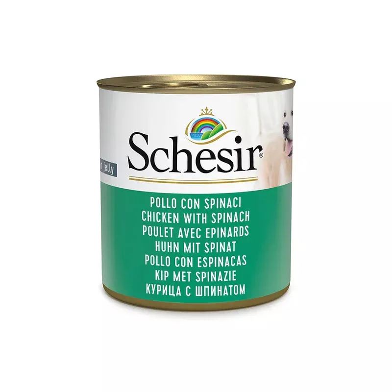 Schesir Dog tin 285g – Chicken & Spinach