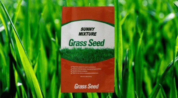 Seedway Sunny Mixture