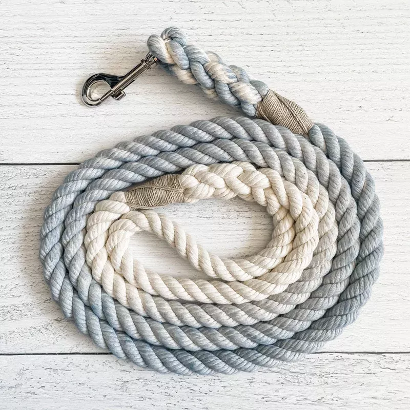Sky Blue Leash: 5 Feet / Solid / 1/2 Inch