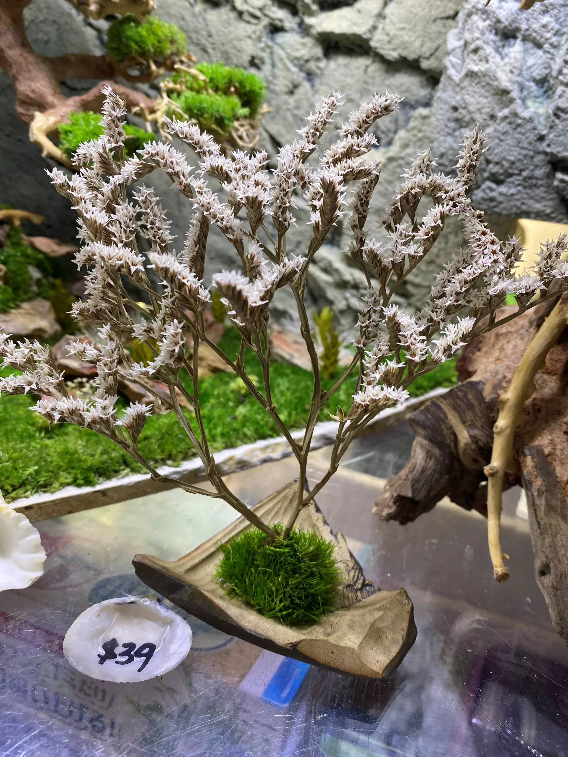 Slow Green – Kindling (Preserved Plants)