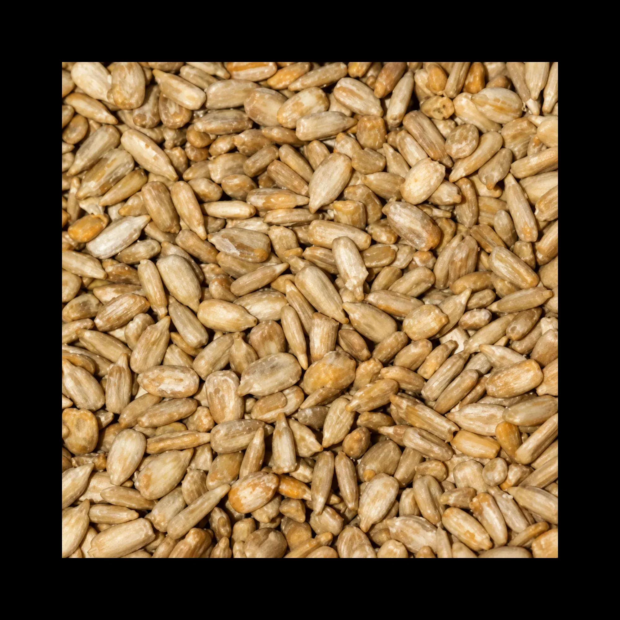 Smokin’ Hot Sunflower Chips Bird Seed