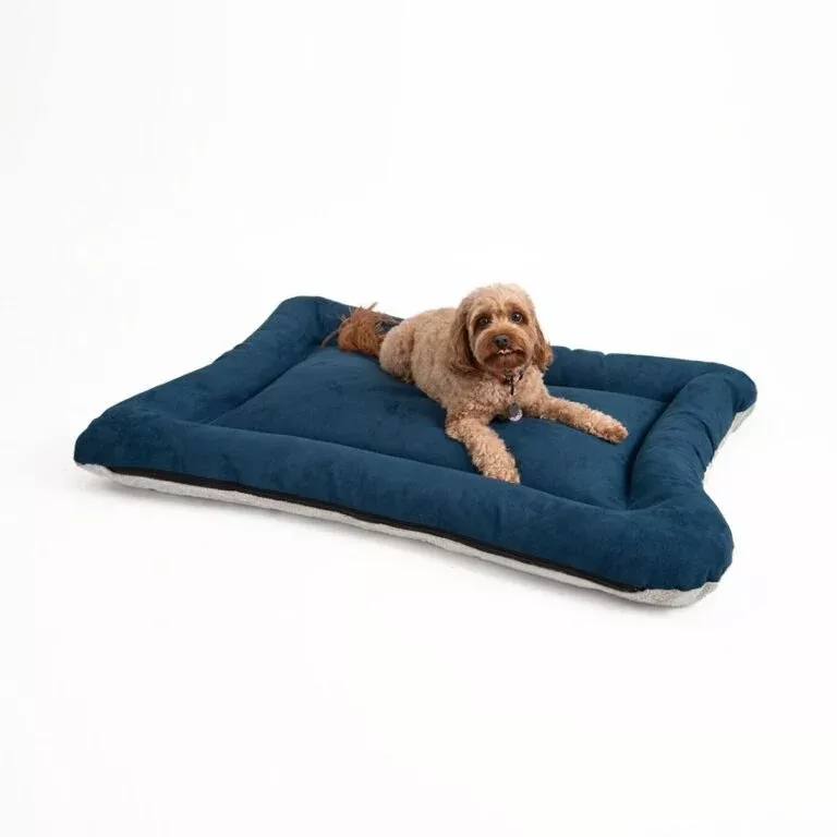 Snoozer All Day Reversible Dog Bed Medium Sapphire Ivory