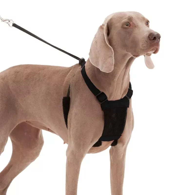 Sporn Non-Pull Mesh Harness