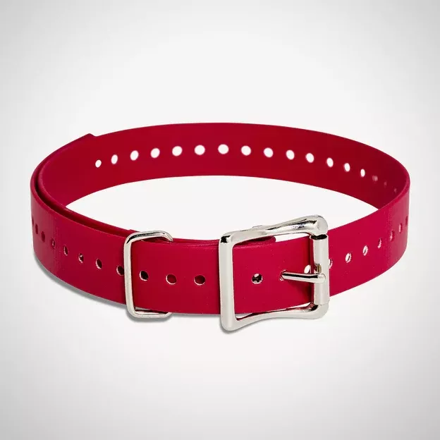 SportDog 1 Inch E-collar strap – Red