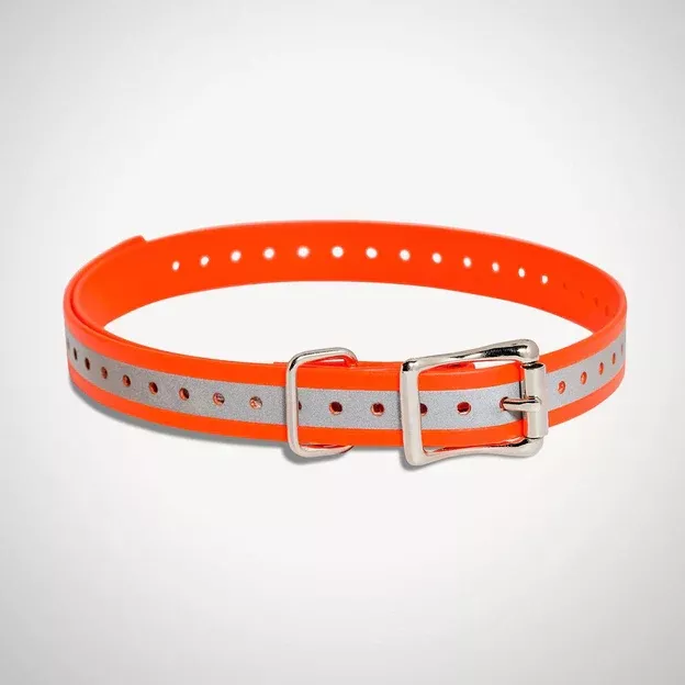 SportDog 3/4 Inch E-collar strap – Orange