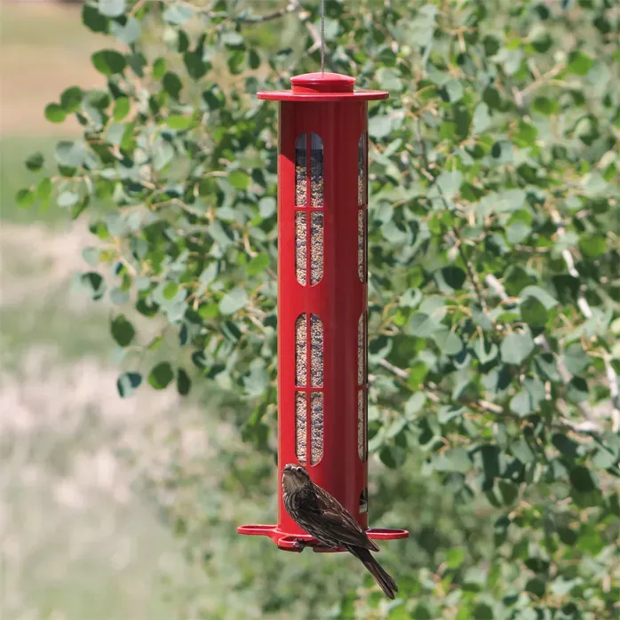 Squirrel-X X8 Squirrel-Resistant Bird Feeder with Spring-Loaded Perches - 2.5 lb