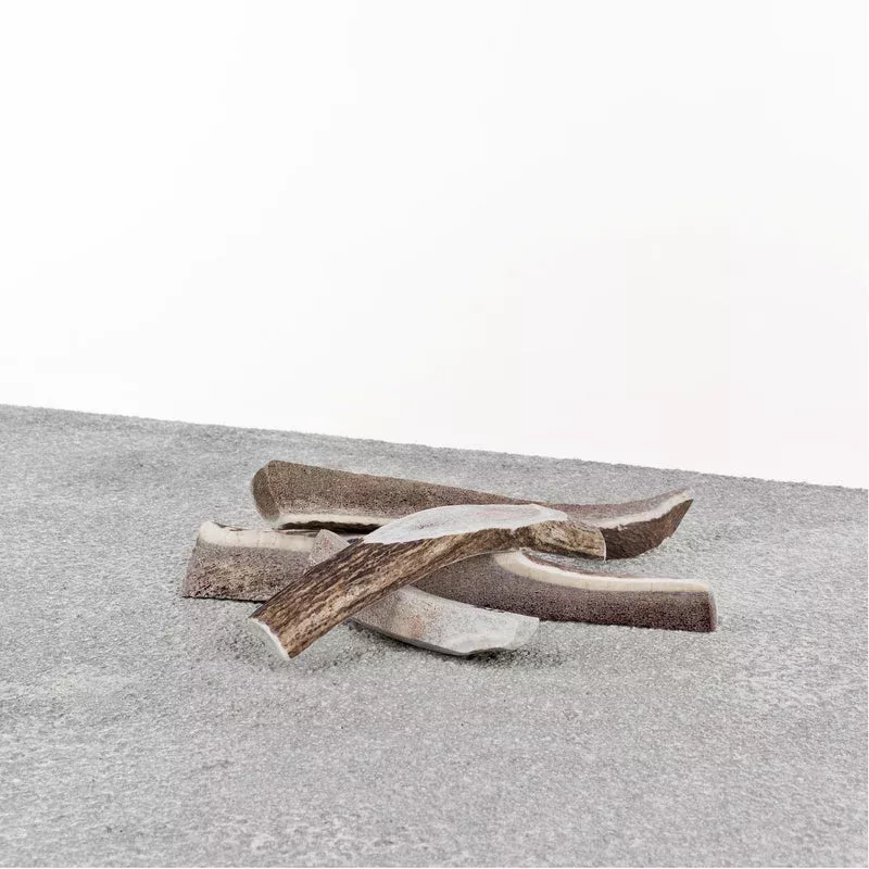 STAG SPLIT XL ANTLER 10+”