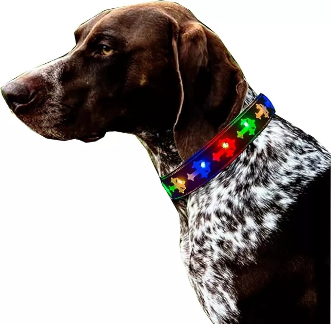 Subversive USB-C led Light up Dog Collar,Star Running LED Design Comfortable and Soft Material,Multicolored Lighting (Black, M(11.8-15.7″))