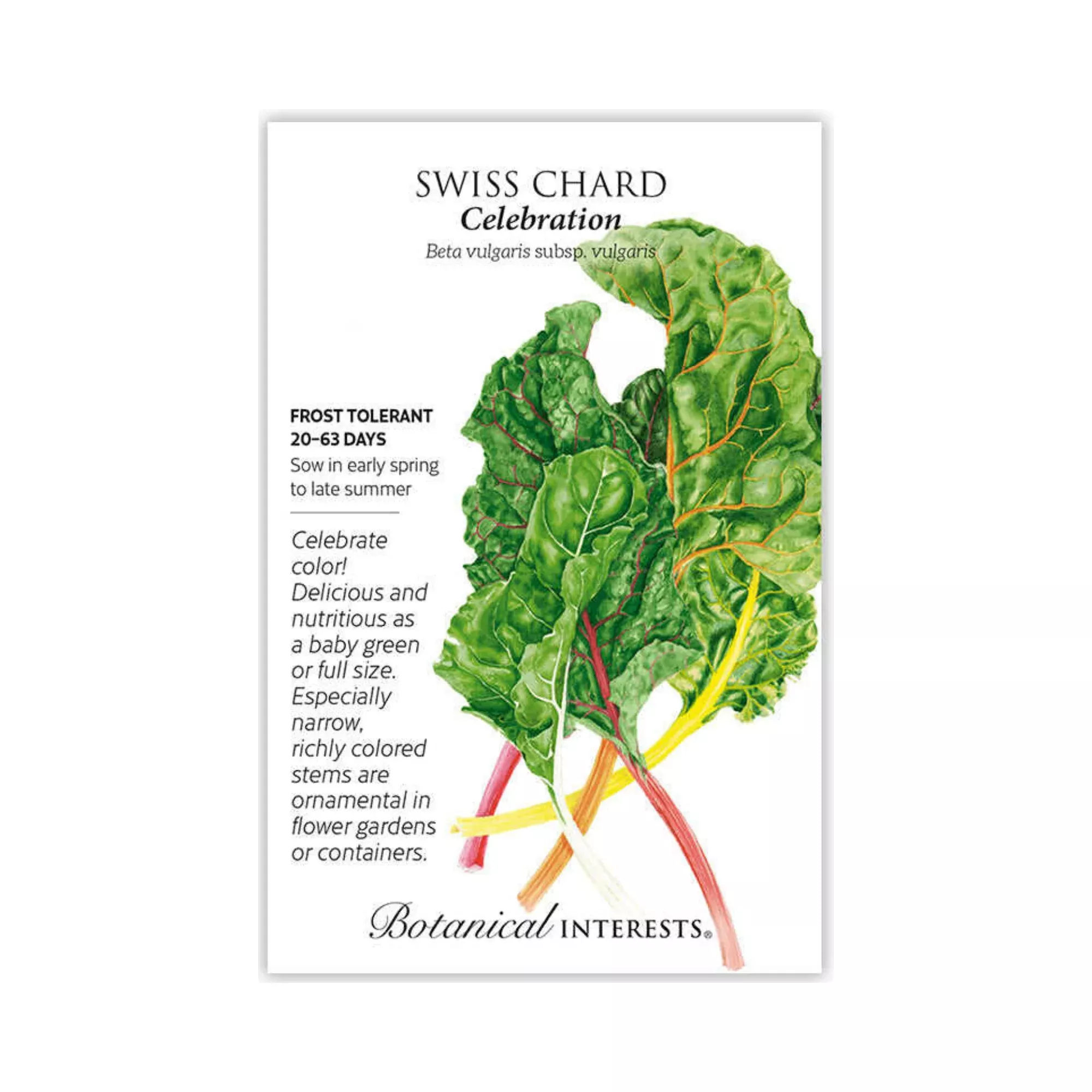 Swiss Chard Celebration