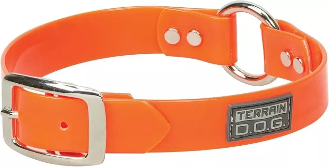 Terrain D.O.G. Brahma Webb Clear Coat Dog Collar