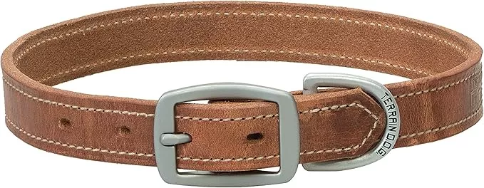 Terrain D.O.G. Harness Leather Dog Collar, 1″ x 19″