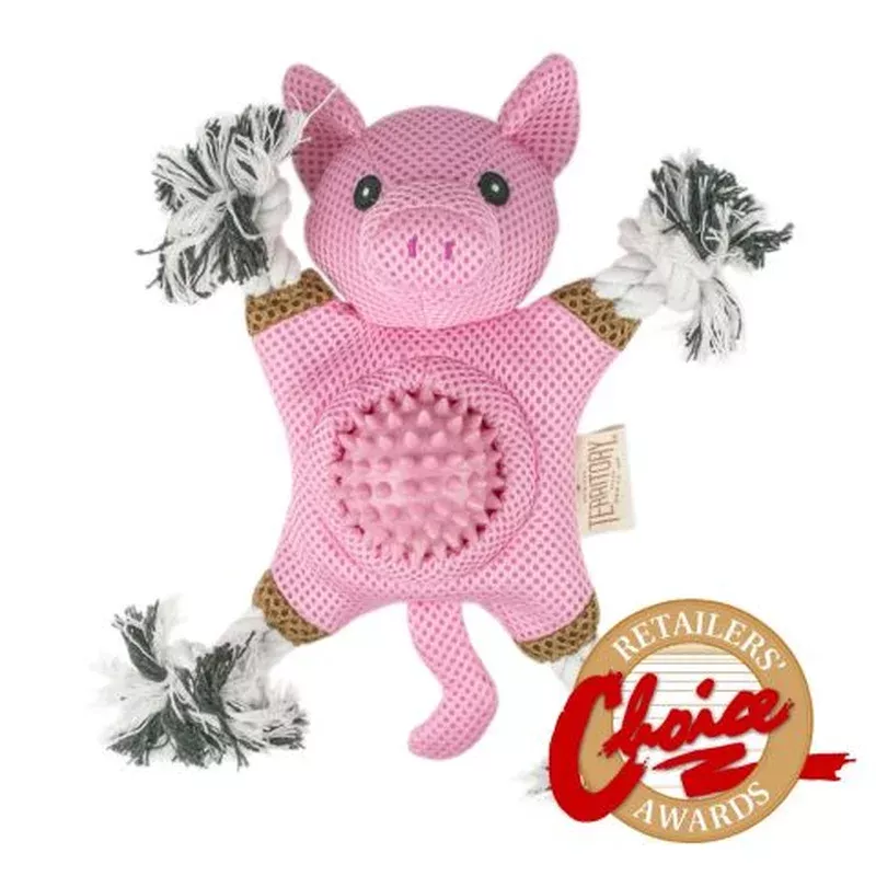 Territory 2-In-1 Dog Toy - Pig - 10"