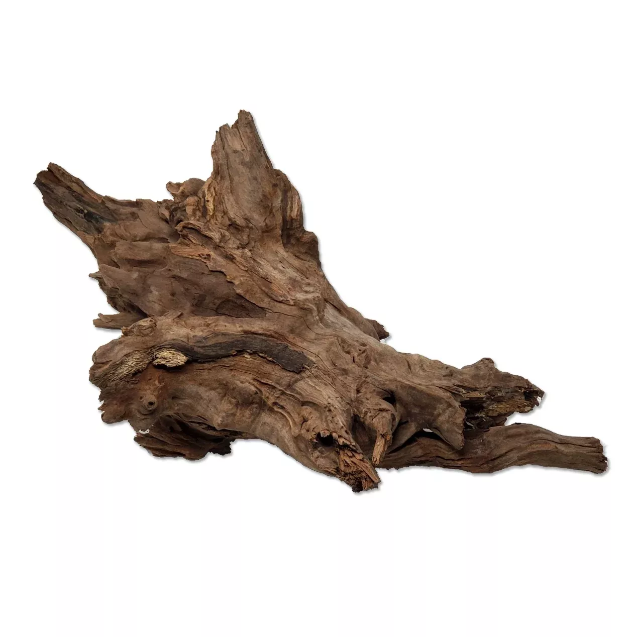 Tideline Drift Wood 32″-40″ XXL