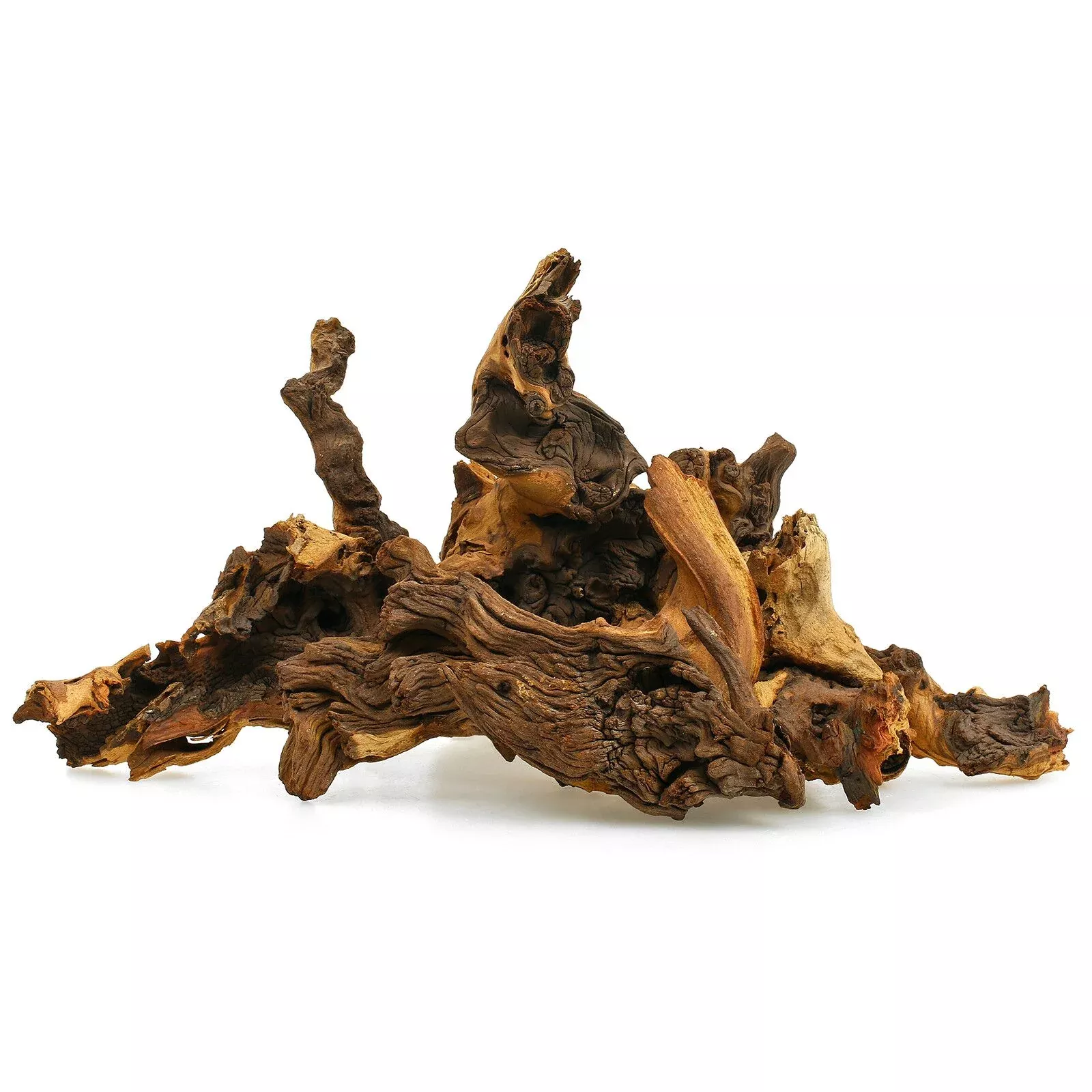 Tideline Mopani Wood Thick Show (30″-36″)
