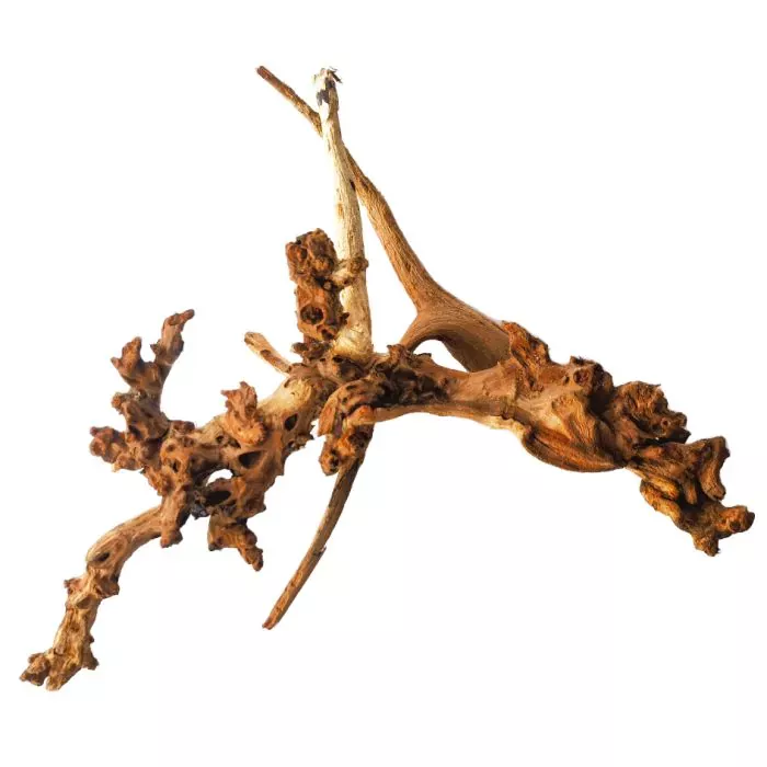 Tideline Mopani Wood Thin Extra Show (30″-36″)