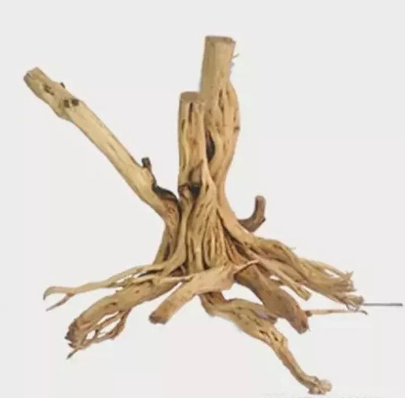 Tideline Redmoor Root – Med 14″-20″