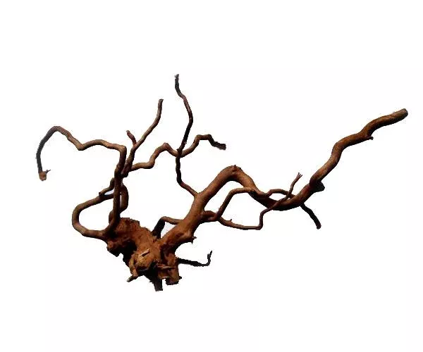 Tideline Spider Wood 15″-20″ Medium