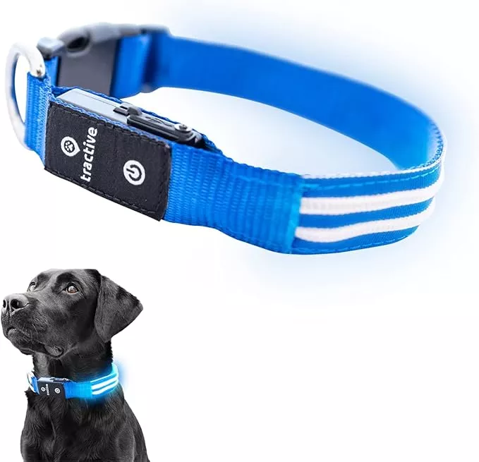 Tractive LED Light Up Dog Collar USB Rechargeable Waterproof (Blue), Medium